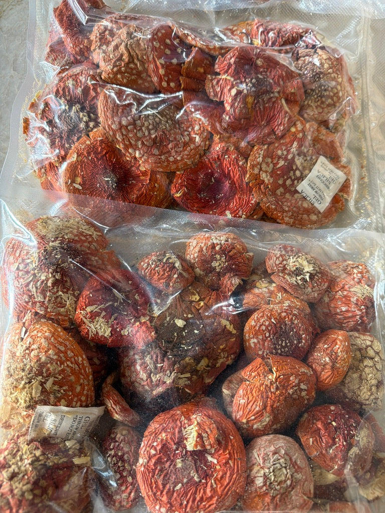 Dried Amanita Muscaria Caps — Grade A