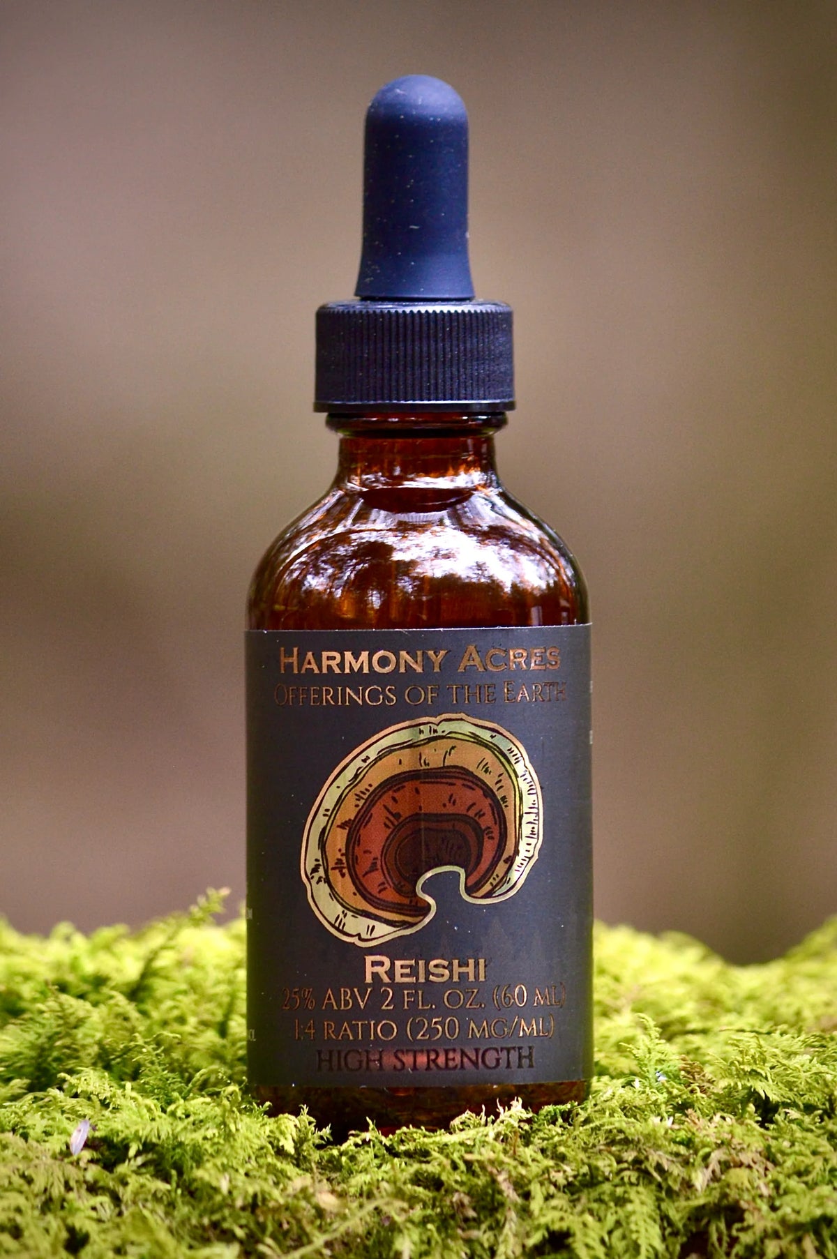 Wild Reishi Tincture (Ganoderma tsugae) | Double-Extracted | Wild Foraged | 2 fl oz