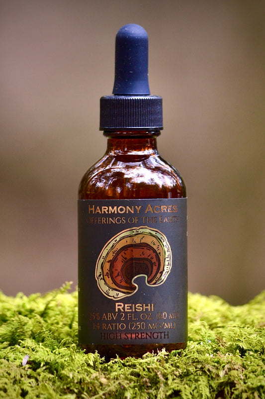 Wild Reishi Tincture (Ganoderma tsugae) | Double-Extracted | Wild Foraged | 2 fl oz