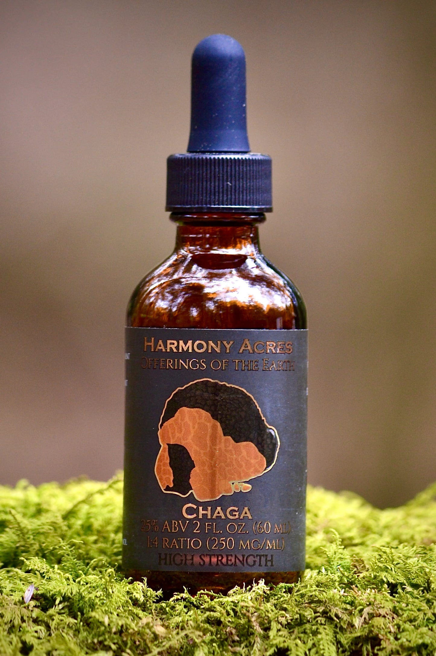 Wild Chaga Tincture
