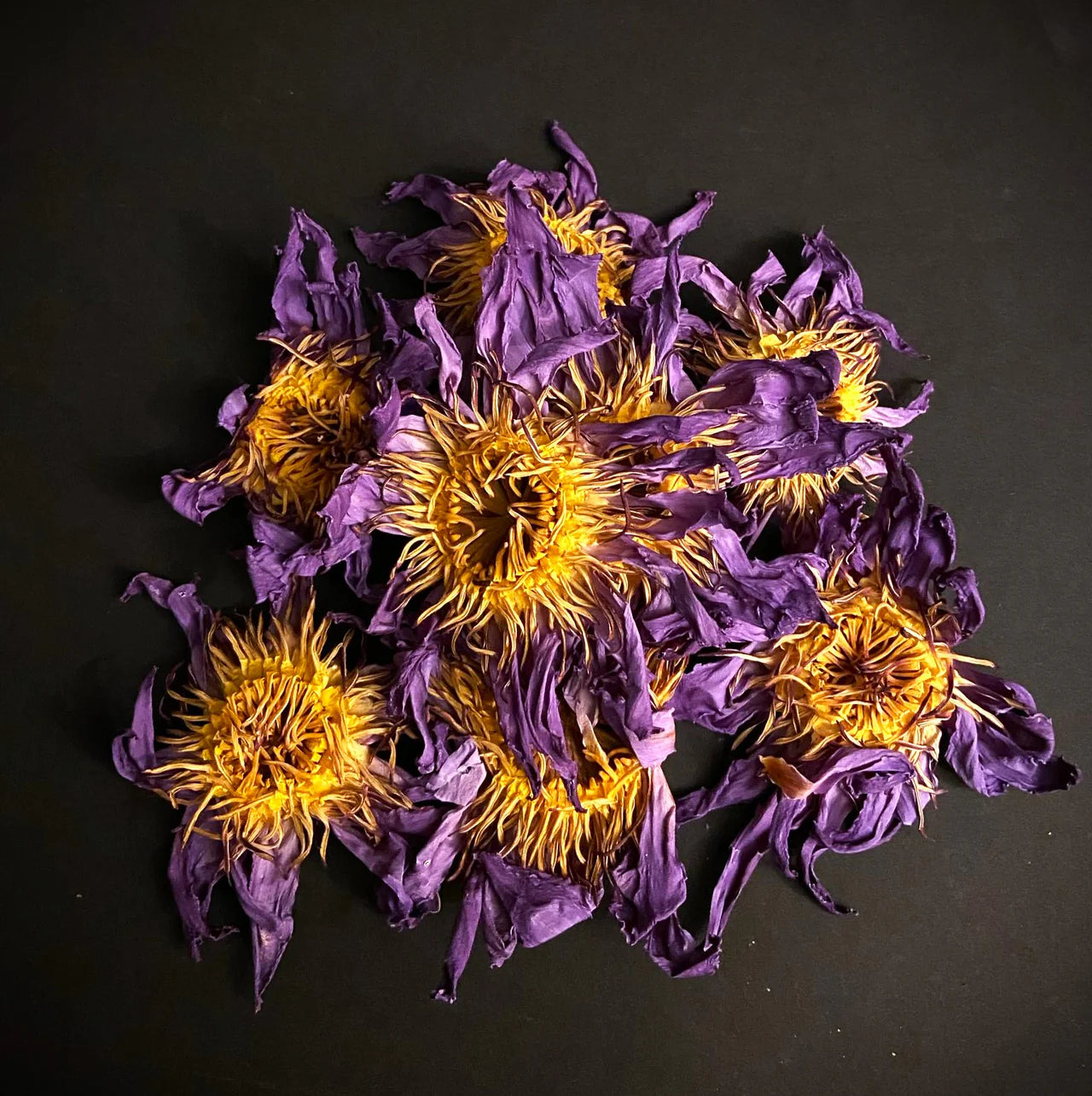 Blue Lotus Petals & Stamens — ½ kg Bulk (Nymphaea Caerulea)