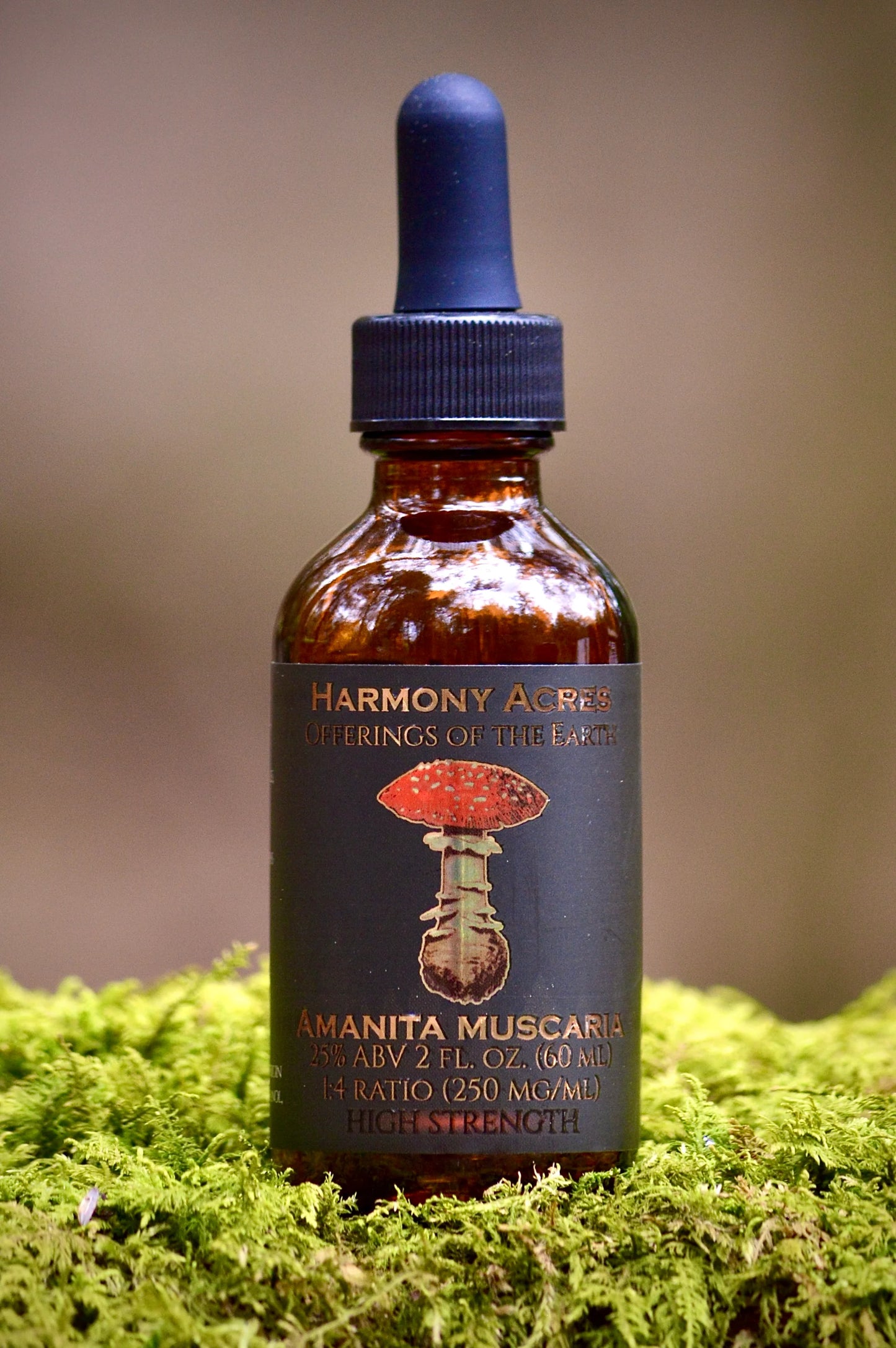 Zen Amanita Muscaria Tincture — Small-Batch, Dual-Extract