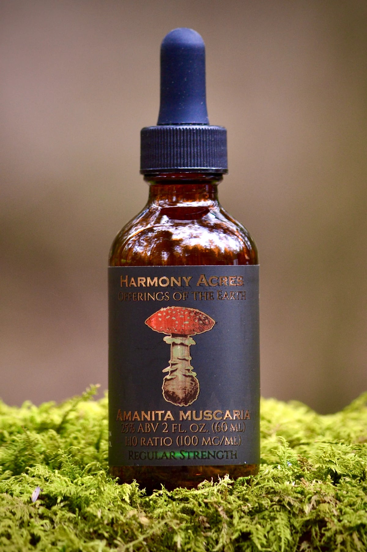 Amanita Muscaria Tincture ~ Regular Strength