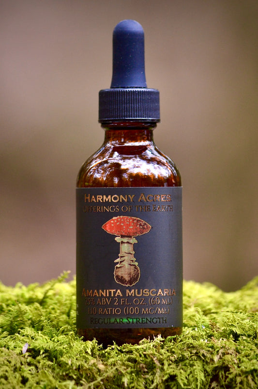 Amanita Muscaria Tincture ~ Regular Strength