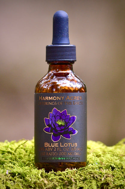 Blue Lotus Tincture — Dual Extract, Petals & Stamens (Nymphaea Caerulea)