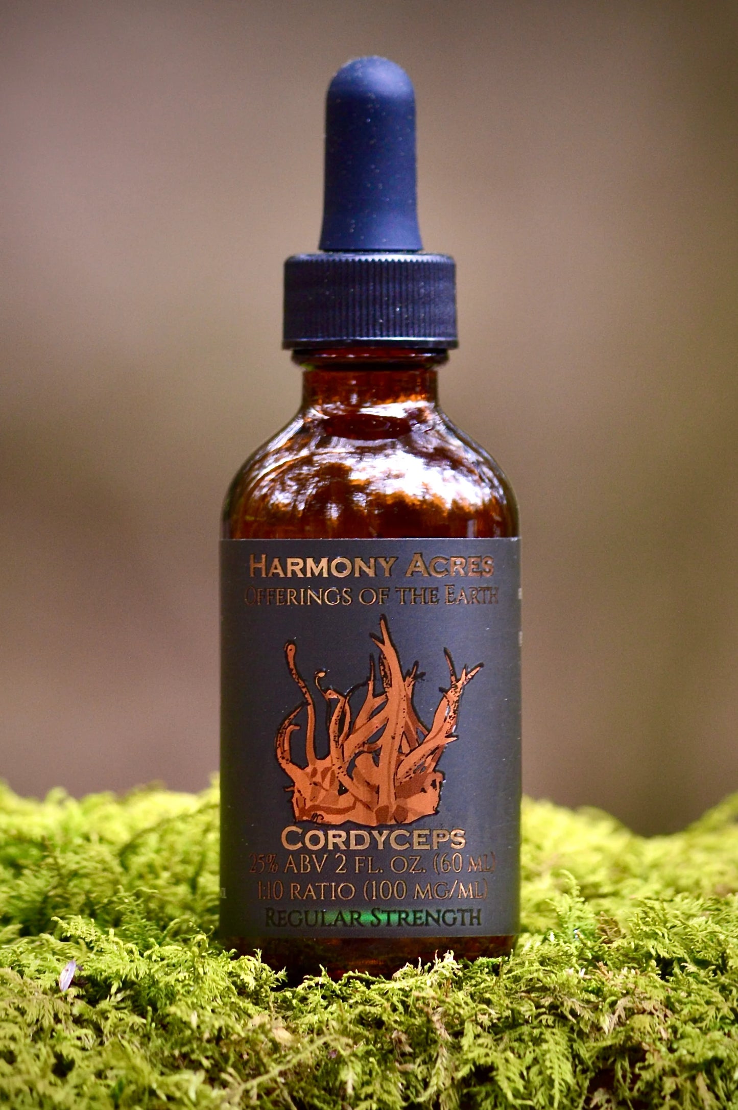 Cordyceps Tincture