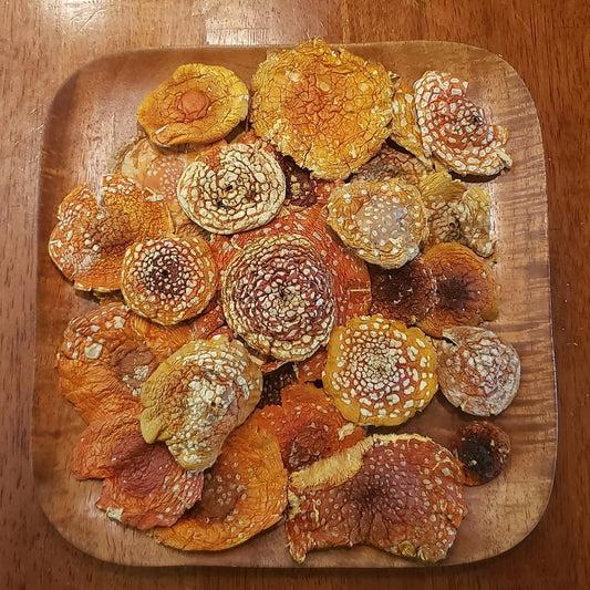 Dried Amanita Muscaria Caps — Grade A