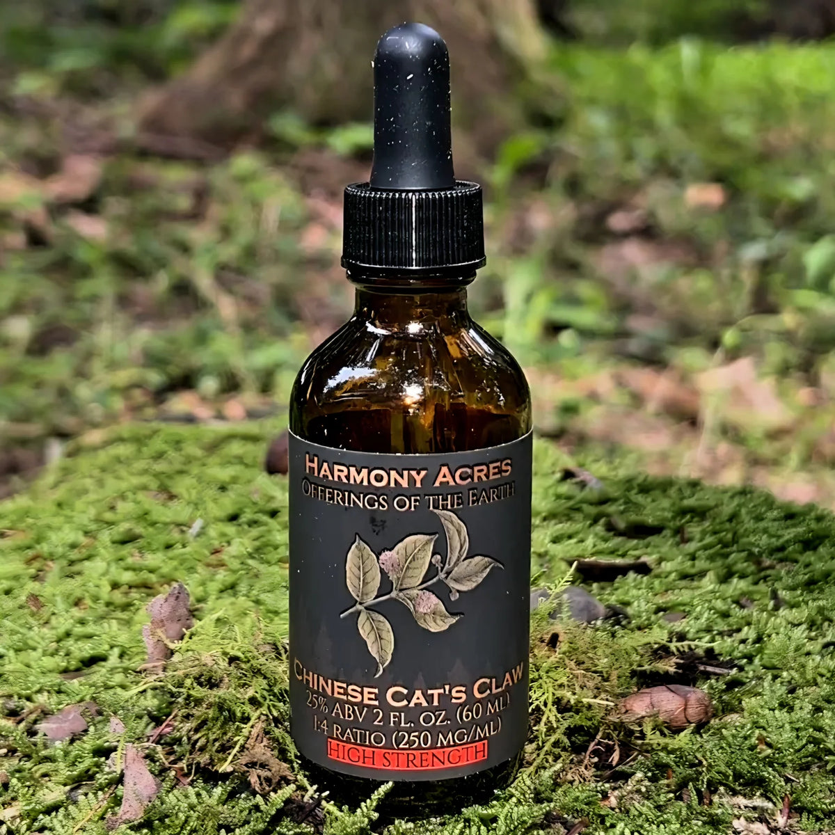 Chinese Cat's Claw Tincture (Uncaria rhynchophylla) | Dual Extract | 2 fl oz