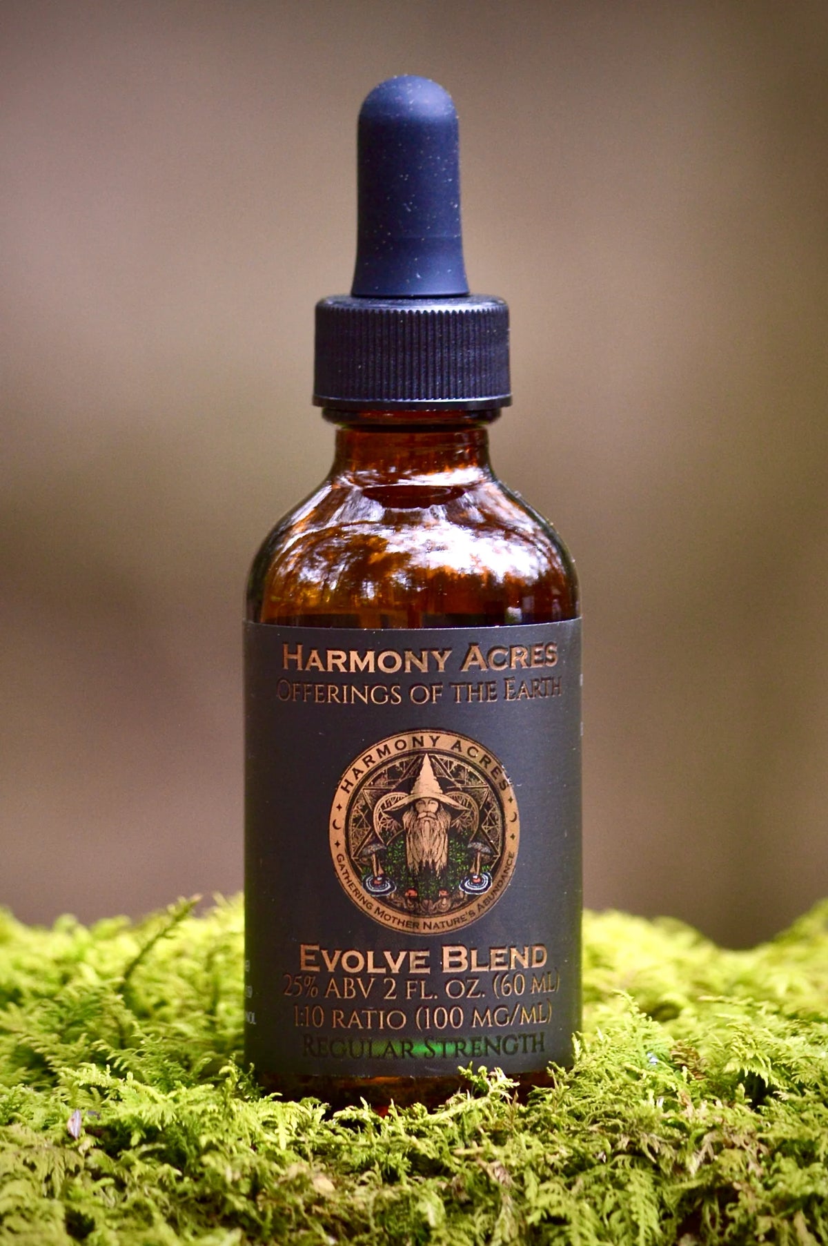 Evolve Blend Tincture | Reishi, Chaga, Lion's Mane & Cordyceps | Dual Extract | 2 fl oz