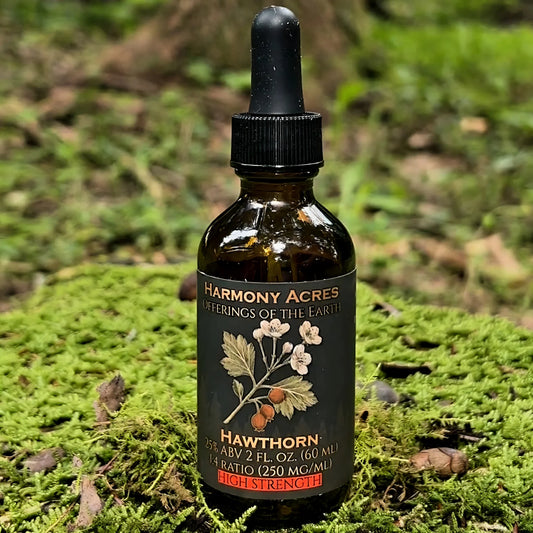 Hawthorn Tincture (Crataegus monogyna) | Dual-Fraction Extract | 2 fl oz