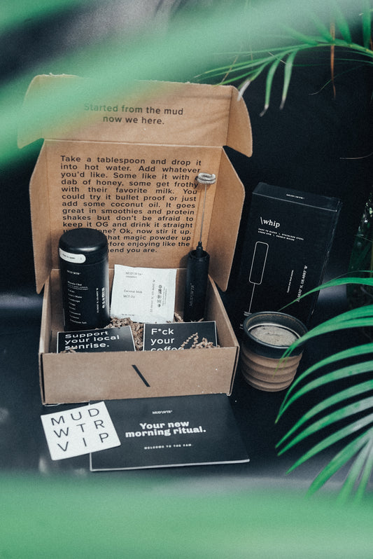 MudWtr Original — 30 Servings (Coffee Alternative with Mushrooms)